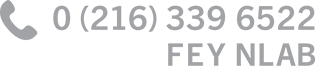 Feynlab Phone